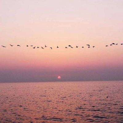 PG电子娱乐网址